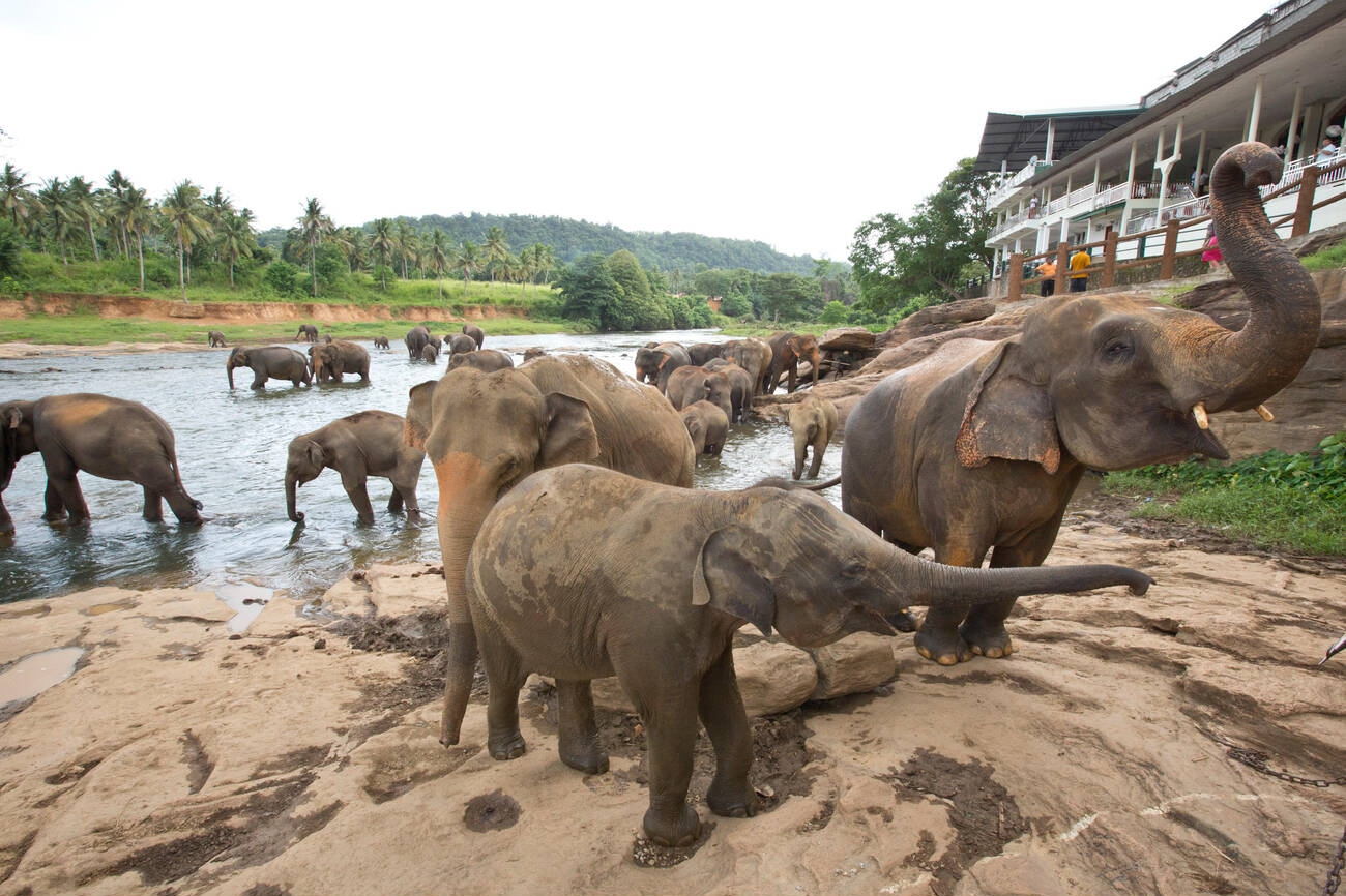 Sri Lanka Cultural Tour